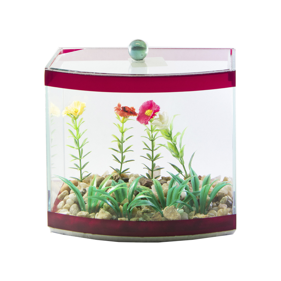 Aquário Beteira Design para Peixes Vision Com planta - Cores Sortidas